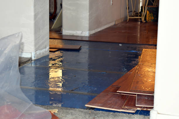 Professional Burst Pipe Cleanup technician working in New London, NC